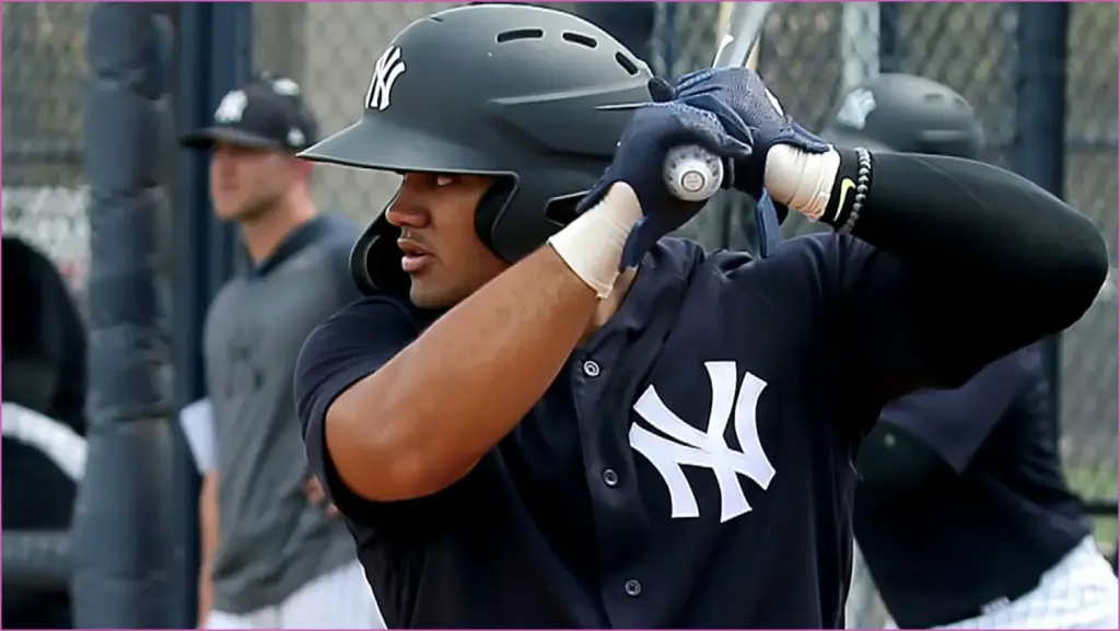 60 Hidden Gems in 2025 Fantasy Baseball: Spotlight on Rising Stars from Jasson Domínguez to Bo Bichette 60 hidden gems in 2025 fantasy baseball: spotlight on rising