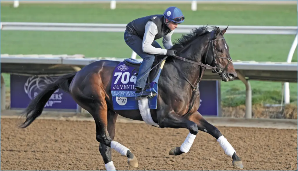 Duane colucci: champion of horse racing at rampart casino