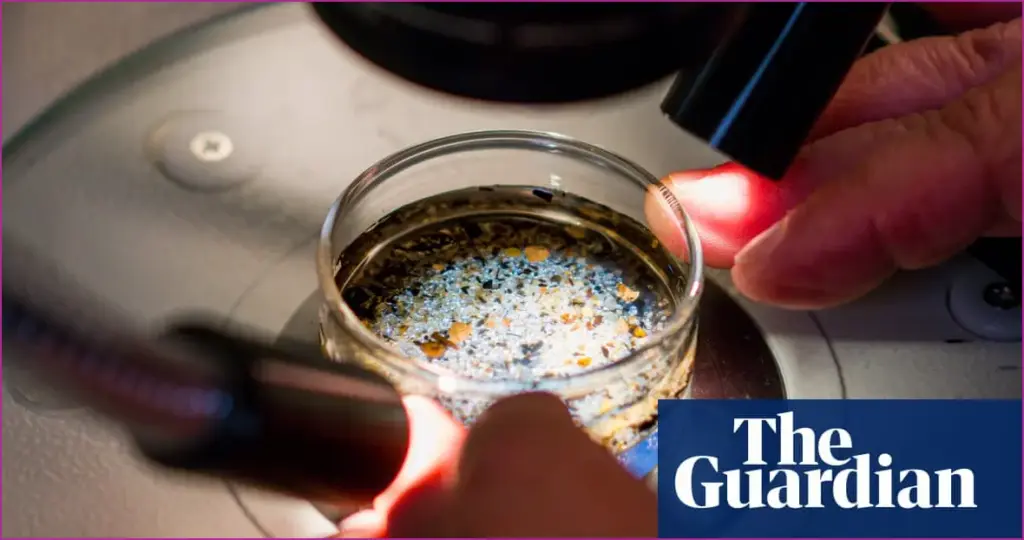 Microplastics detected in human ovarian fluid: a breakthrough in women's