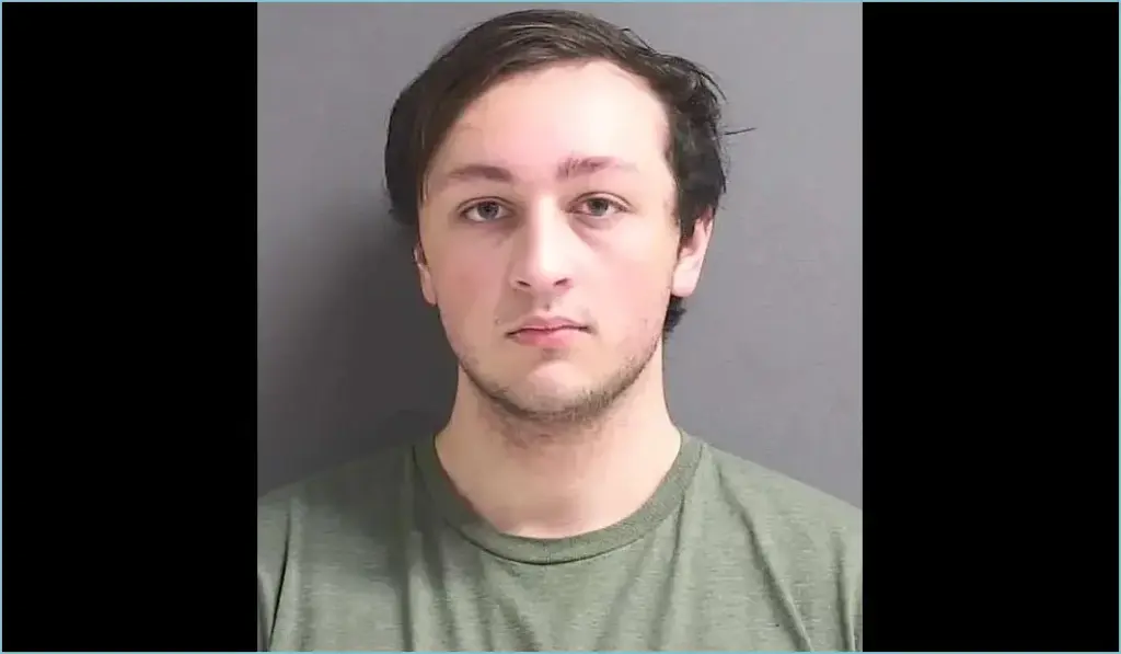 Spider gang member admits guilt in identity theft and wire