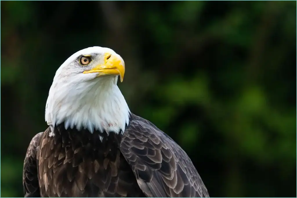The Resilience of the US Economy and Stock Market The resilience of the us economy and stock market
