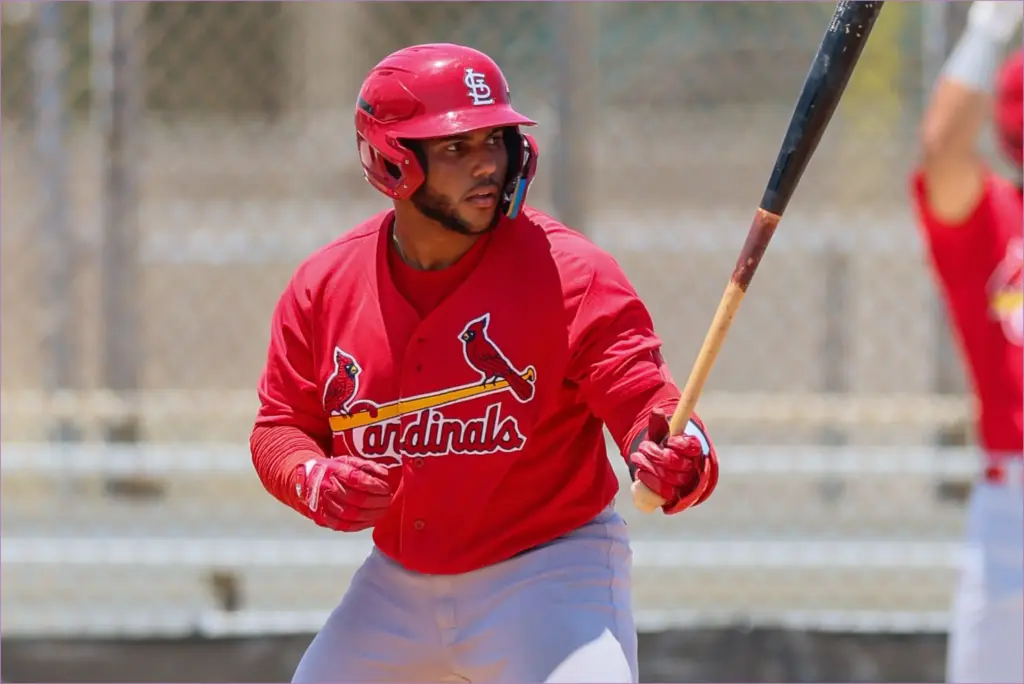 Top 20 must watch mlb prospects