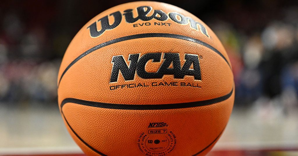 Alabama and kentucky shine as offseason champions in college basketball