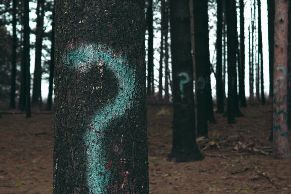 Cryptoquant highlights potential $92k bitcoin decline amid diverging analyst perspectives
