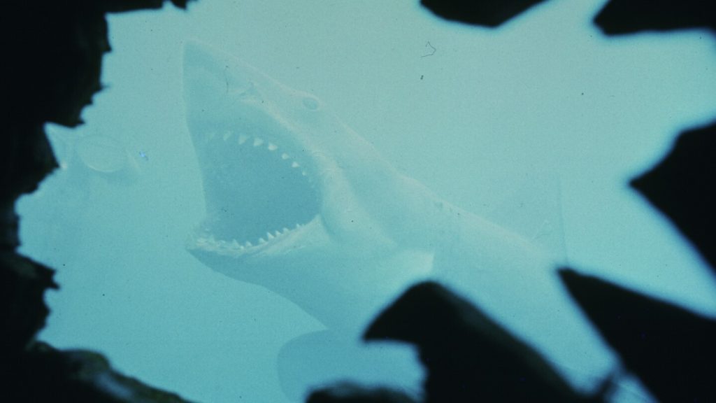Dive into jaws trivia with 16 fascinating facts