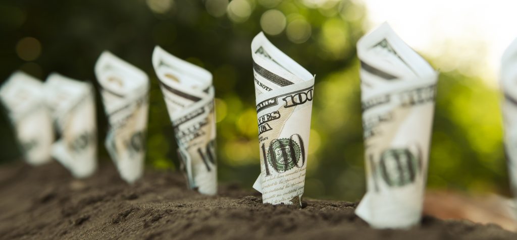 Top 5 dividend stocks to invest in now and keep
