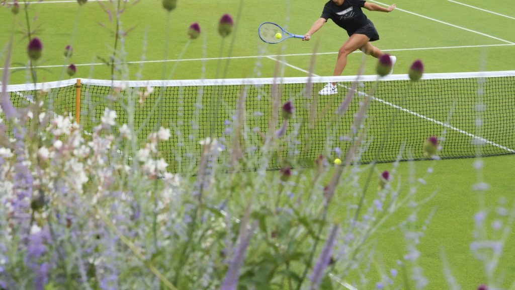 Wimbledon 2023: start dates, key details, and betting insights