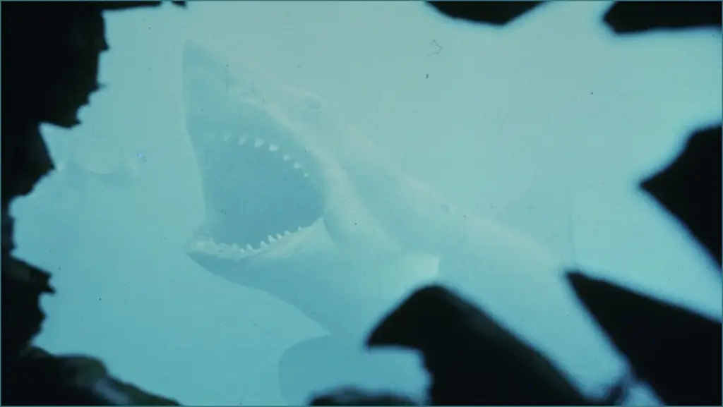 Dive into jaws trivia with 16 fascinating facts
