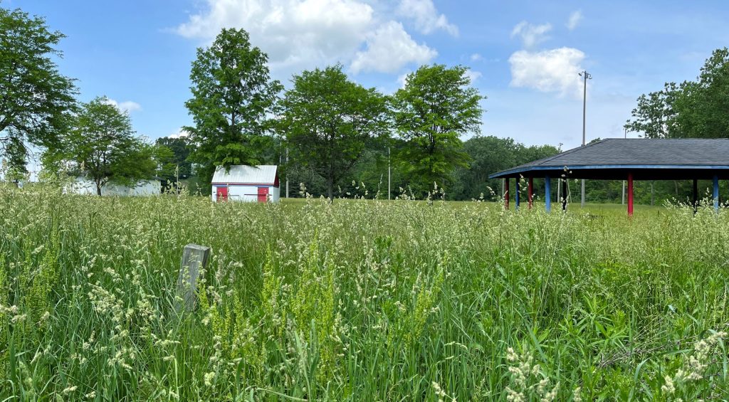 Niss acquires hamilton park for $50k to transform site into
