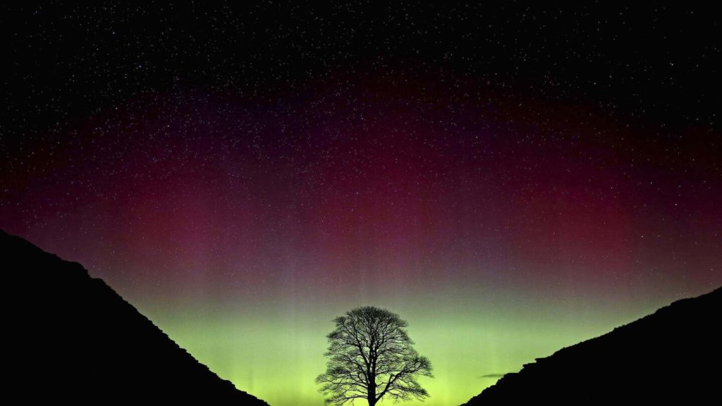 Sycamore gap vandals face over four years in prison