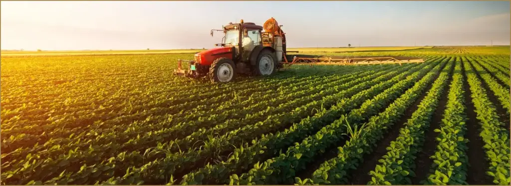 Discover village farms international and two exciting penny stocks to