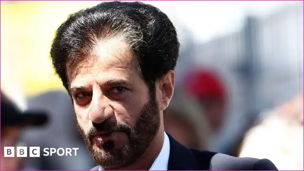 Mohammed ben sulayem reshapes fia leadership by dismissing uk's senate