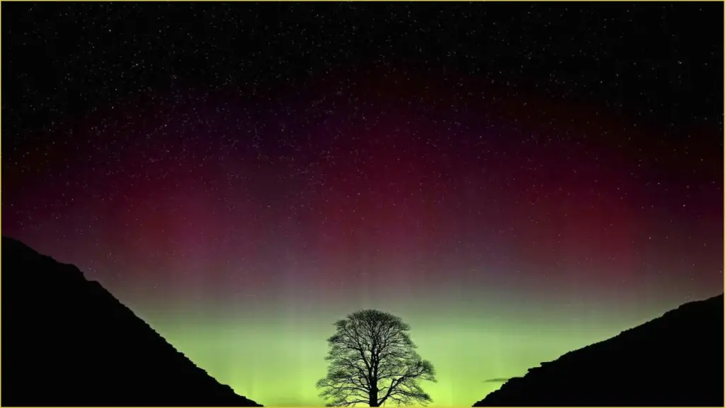Sycamore gap vandals face over four years in prison