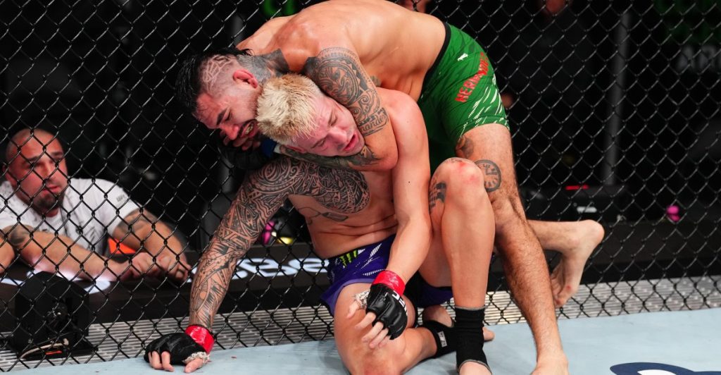 Anthony hernandez vs. roman dolidze: fight preview and betting odds