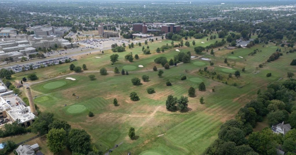 Navigating the challenges of being an everyday golfer