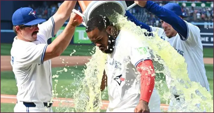 Blue Jays Set to Soar with Incoming Reinforcements Blue jays set to soar with incoming reinforcements