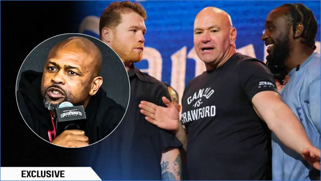 Roy jones jr. concerned about mma's impact on boxing