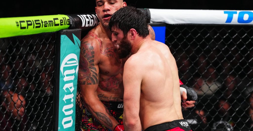 Exciting rematch: ankalaev takes on pereira again in main card