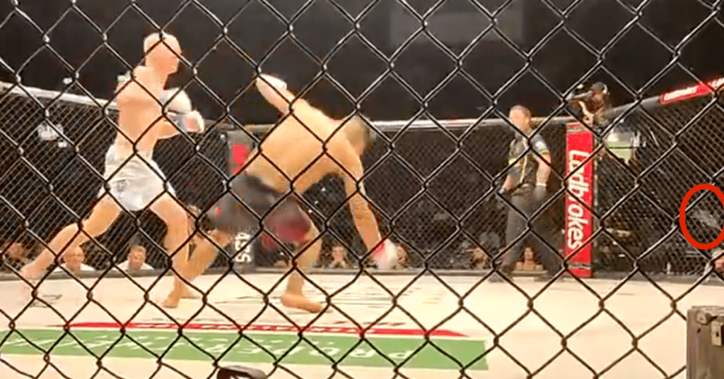 Mouthpiece's journey following a stunning knockout