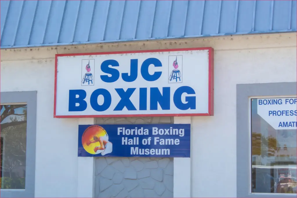 Highlights of the week: boxing, guidance, and comebacks