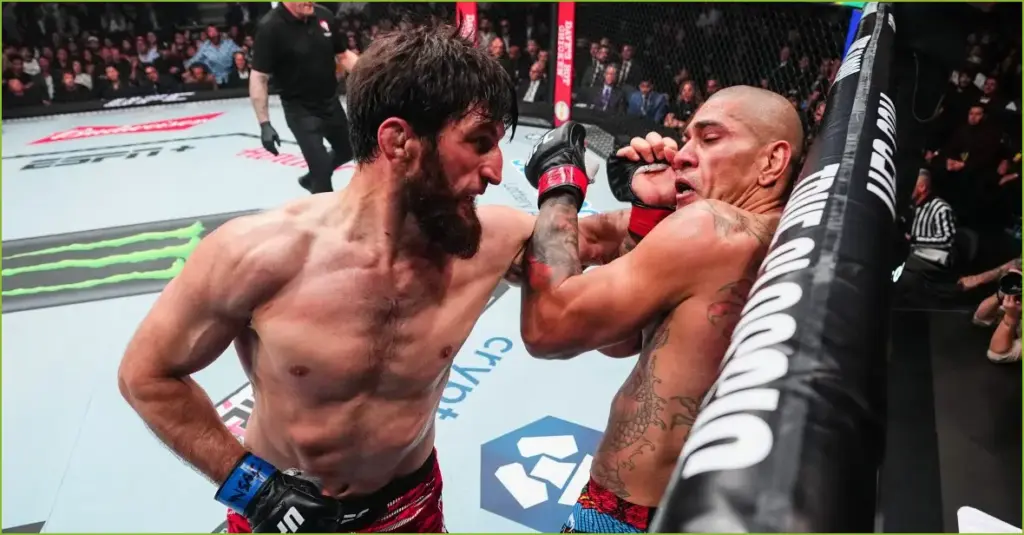 Strategies for success: how alex pereira can overcome magomed ankalaev