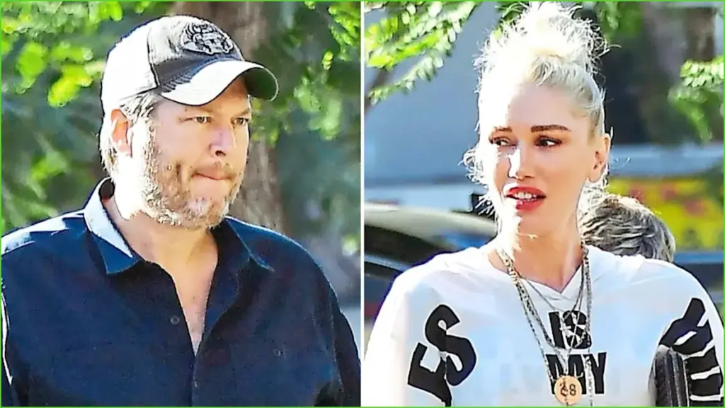 Navigating life apart: blake shelton and gwen stefani's journey after
