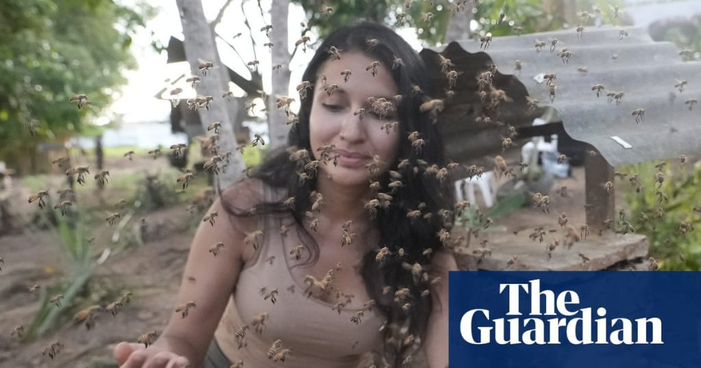 Amazon’s Stingless Bees Earn Historic Legal Rights Amazon's stingless bees earn historic legal rights