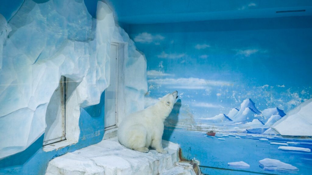 Bold women, cozy soups, and solo adventures: a flavorful journey