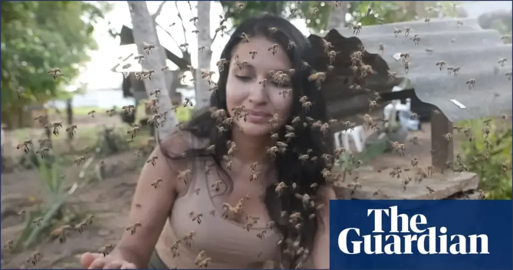 Amazon’s Stingless Bees Earn Historic Legal Rights Amazon's stingless bees earn historic legal rights