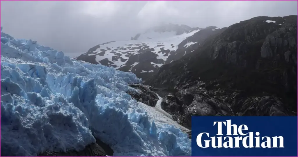 Discovering Chile’s New National Park: A Step into the Heart of an Expansive Wildlife Corridor Discovering chile's new national park: a step into the heart