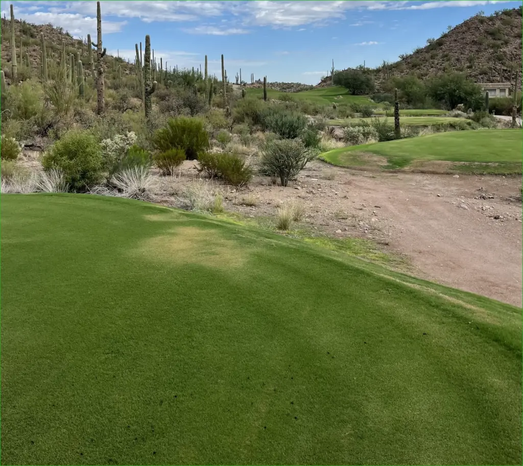 The ultimate challenge at q school
