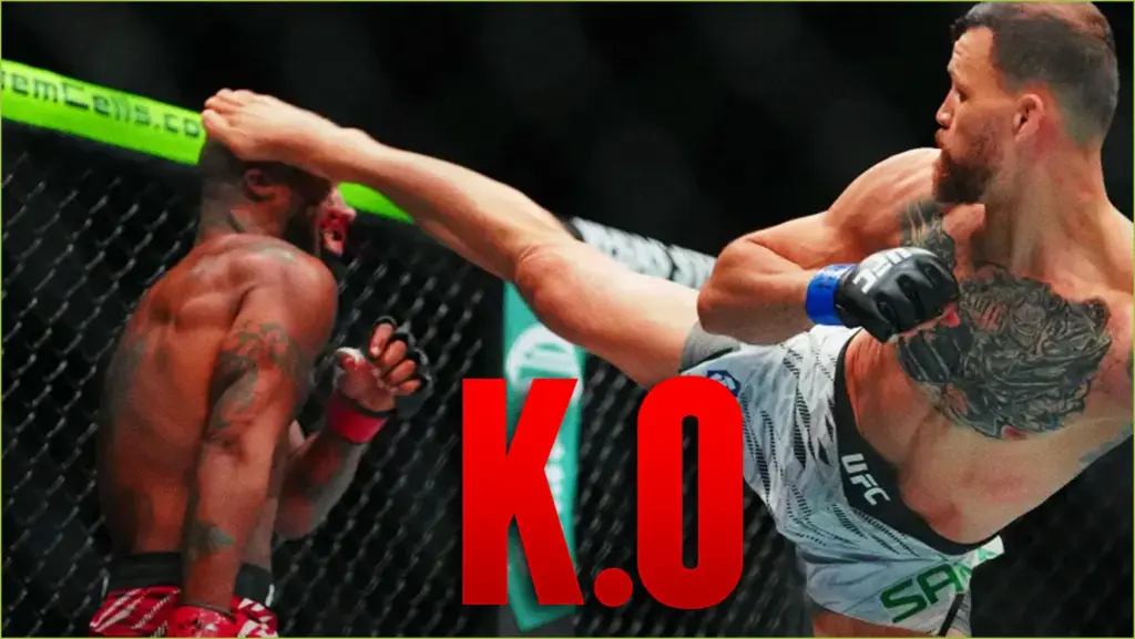 Ultimate ufc knockouts of 2025 ranked
