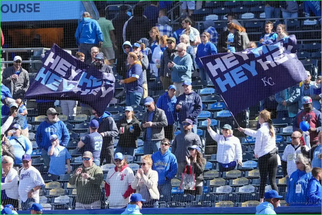 Cheering for more: a fan's guide to supporting multiple teams