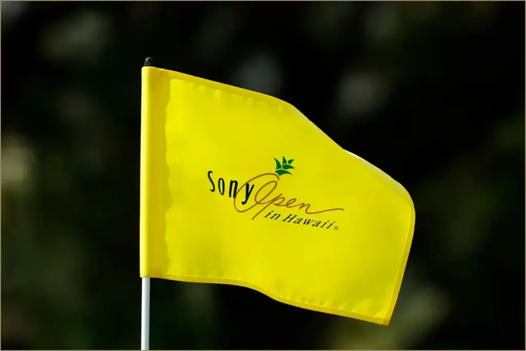 Your guide to watching the 2026 sony open: tee times,