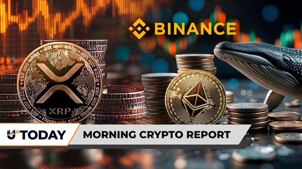 Crypto Storm: XRP Faces 77% Drop Risk, Satoshi Whale’s 100,000 ETH Binance Sell-Off, Cardano’s February Surge Crypto storm: xrp faces 77% drop risk, satoshi whale's 100,000