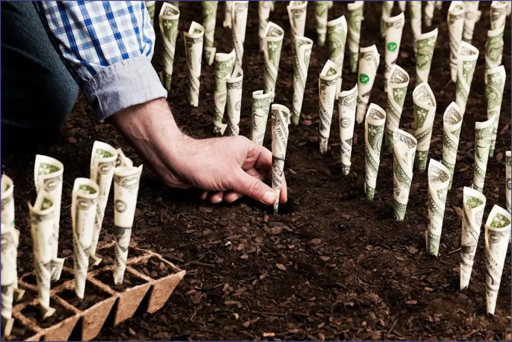 Maximize your gains with these 3 dividend stocks to invest