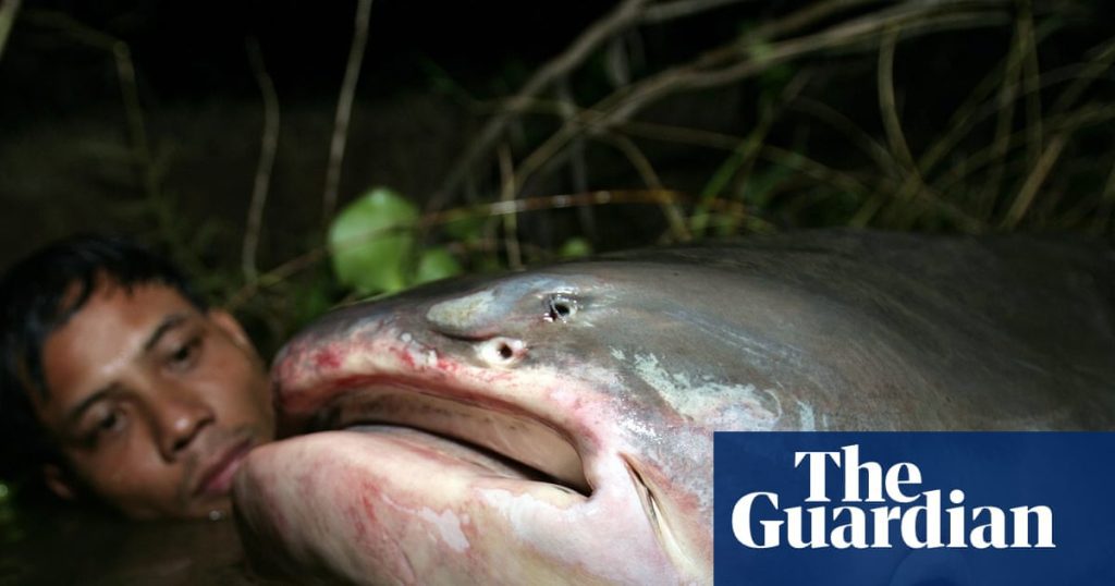 River fish migrations in crisis, un report warns