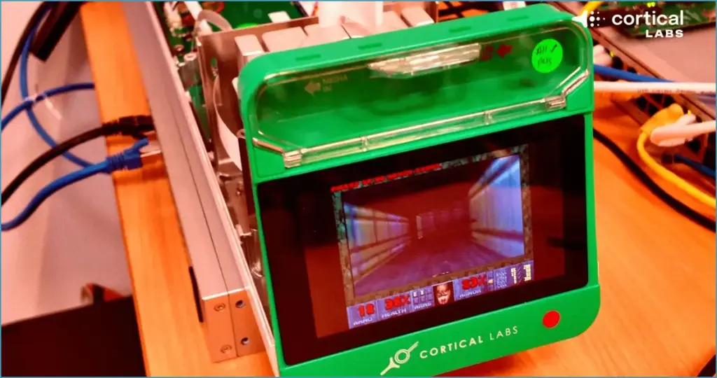 Scientists ignite human brain cells with doom gameplay