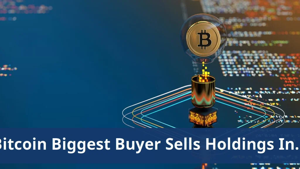 Bitcoin's biggest buyer sells holdings, sparks investor debate