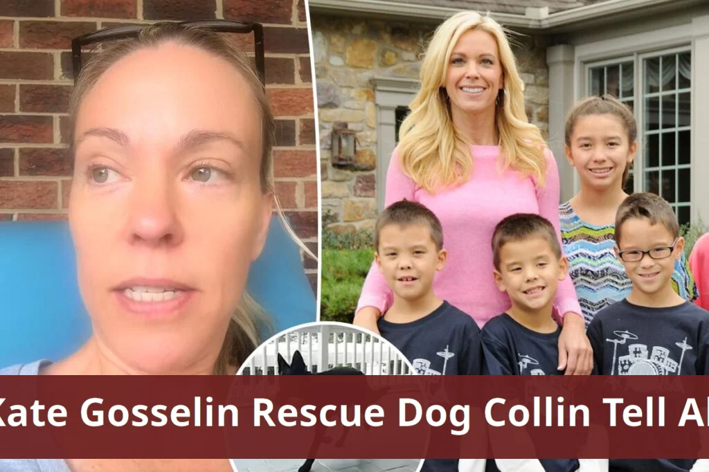 Kate gosselin discusses rescue dog amid son collin's tell all drama