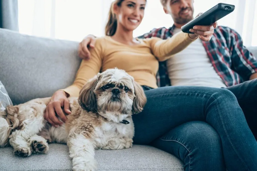 Roku stock issues prompt call for responsible management