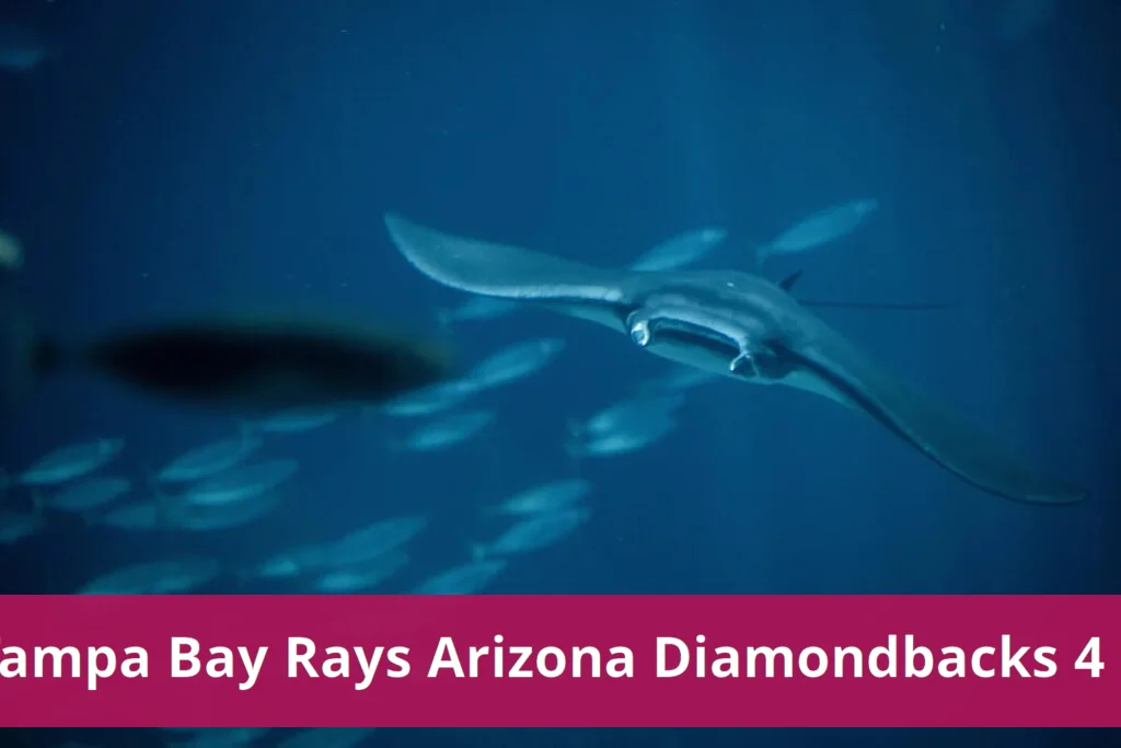 Tampa bay rays defeat arizona diamondbacks 4 2 in latest game